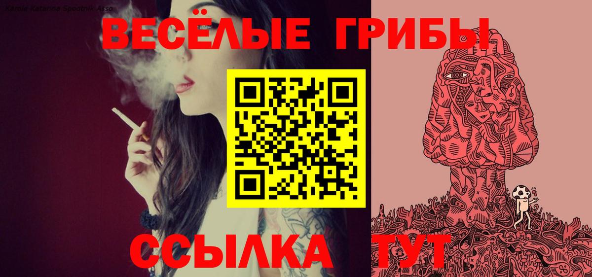 Псилоцибиновые грибы Magic Shrooms  Вход с VPN  Донской 